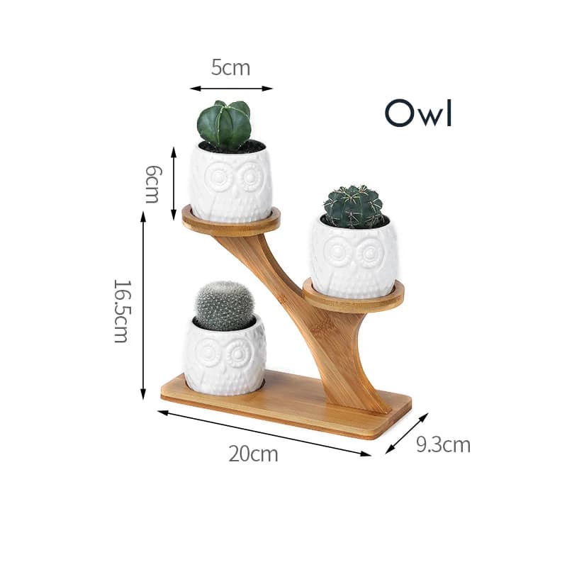 Zestaw doniczek ceramicznych sowa